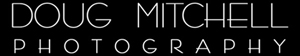 mitchell logo
